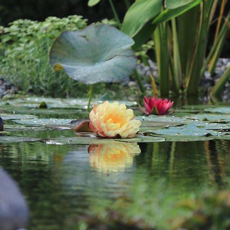 Profumo di casa Villa Trescore Balneario Bagian luar foto