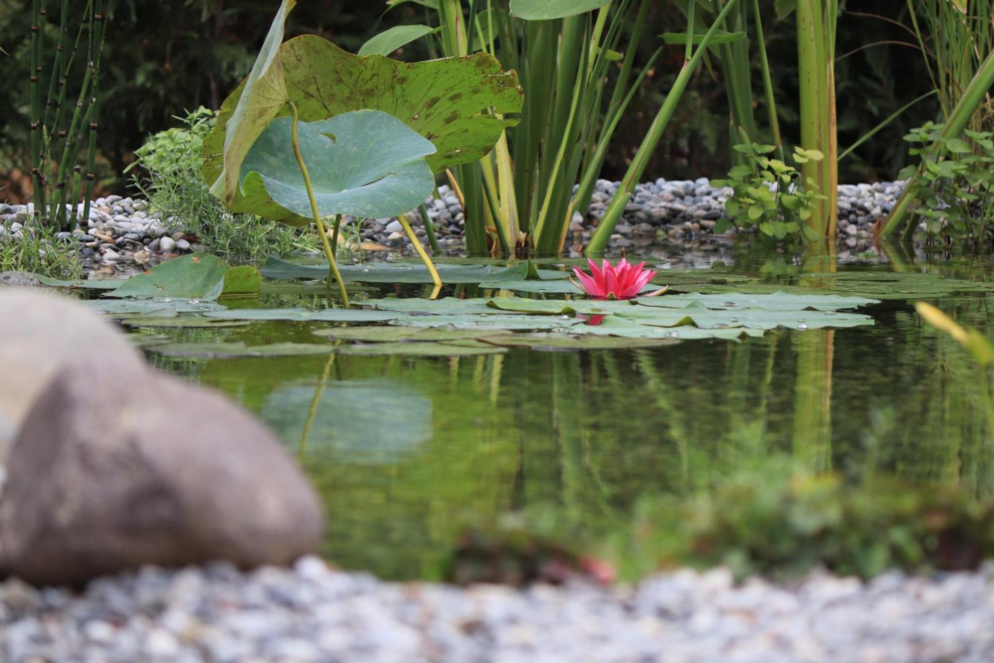 Profumo di casa Villa Trescore Balneario Bagian luar foto