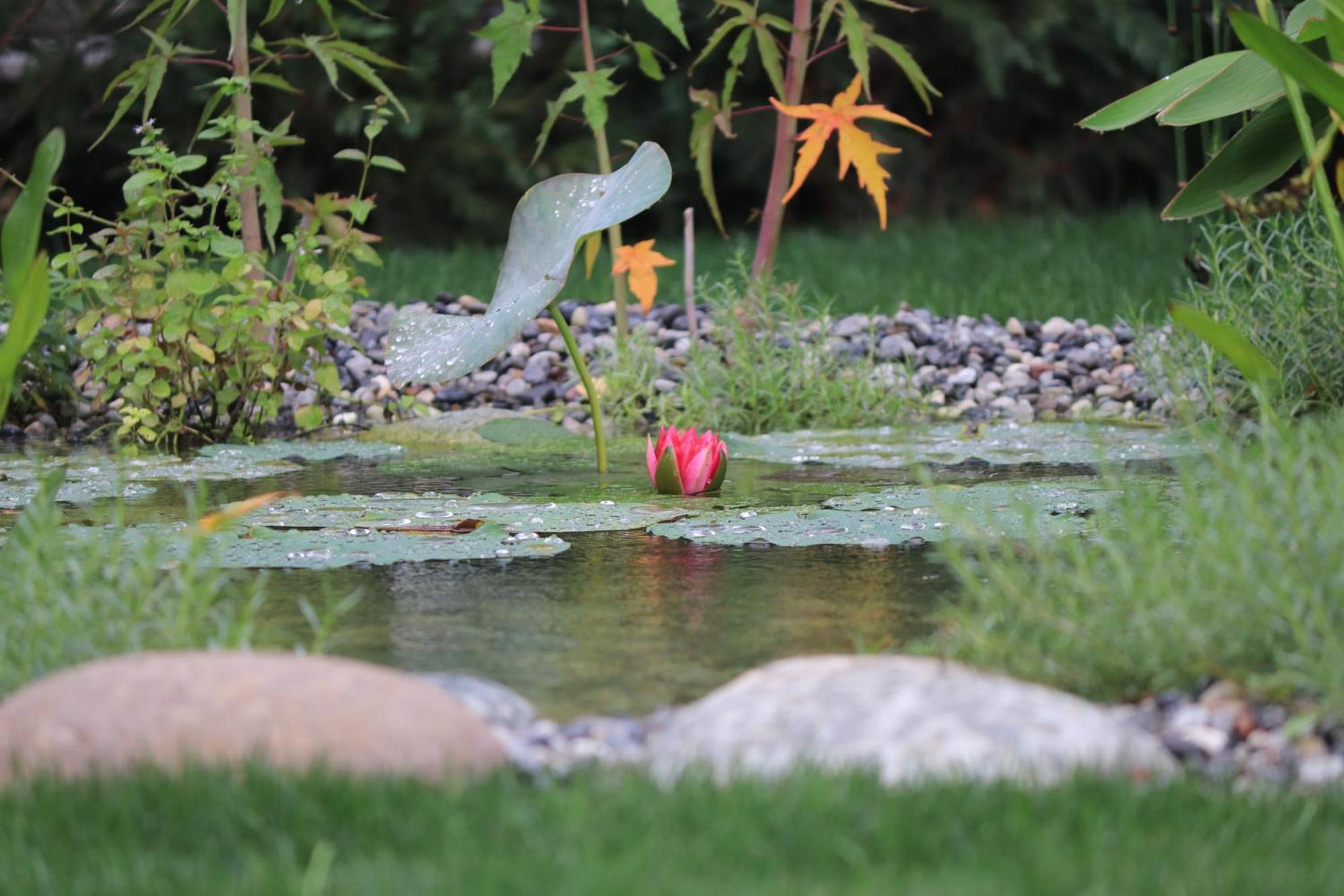 Profumo di casa Villa Trescore Balneario Bagian luar foto
