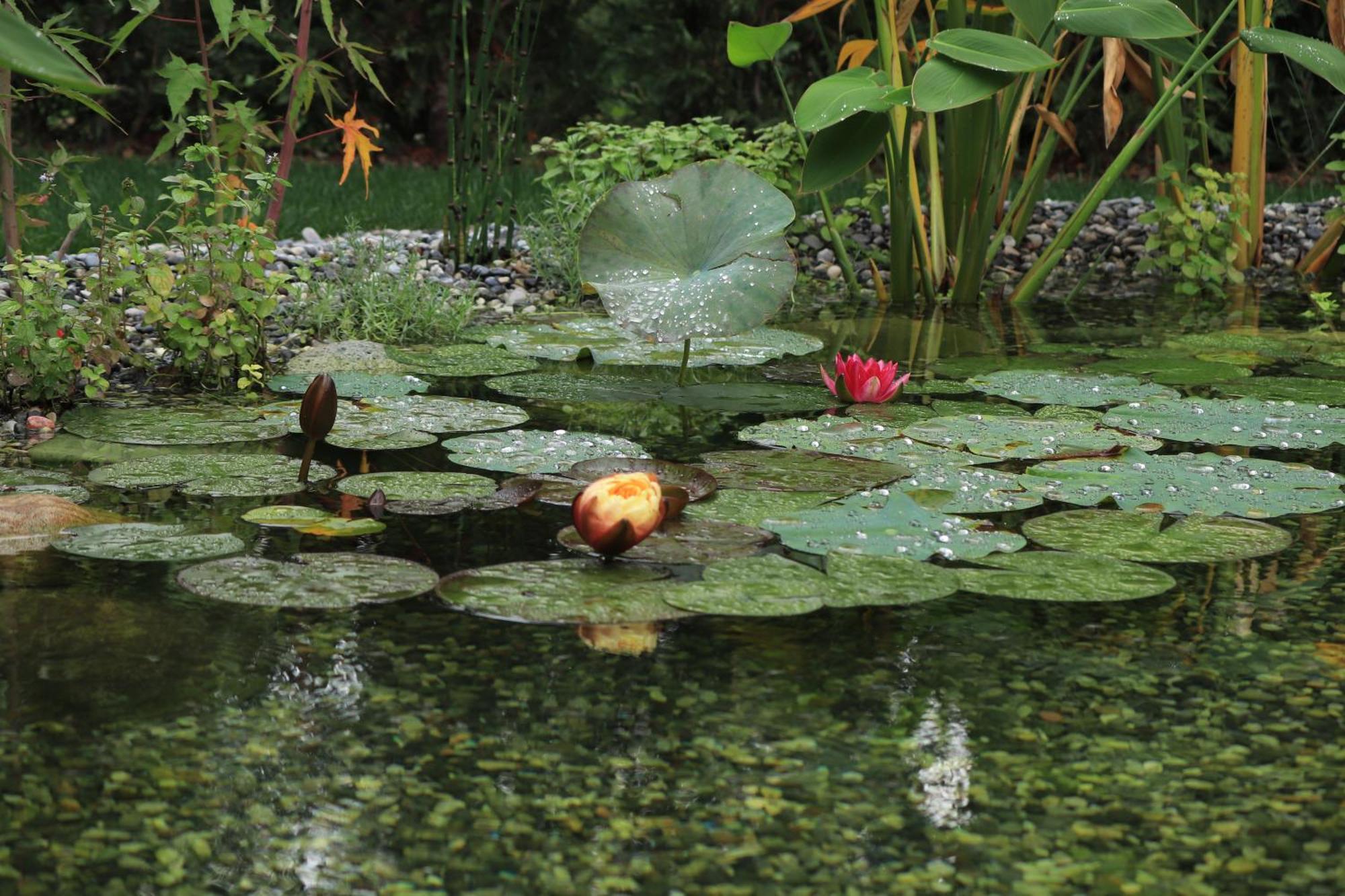 Profumo di casa Villa Trescore Balneario Bagian luar foto